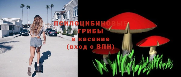 гашик Переславль-Залесский