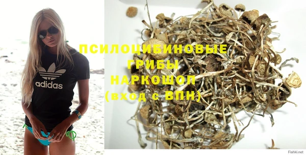 винт Покачи