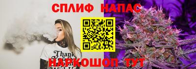 МДПВ Абинск