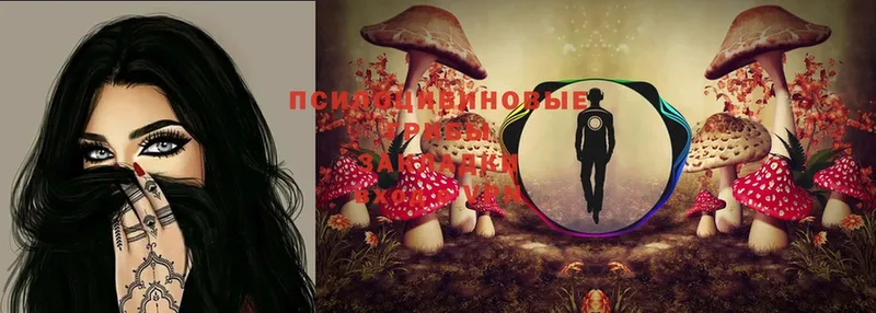 Псилоцибиновые грибы ЛСД наркота Азнакаево