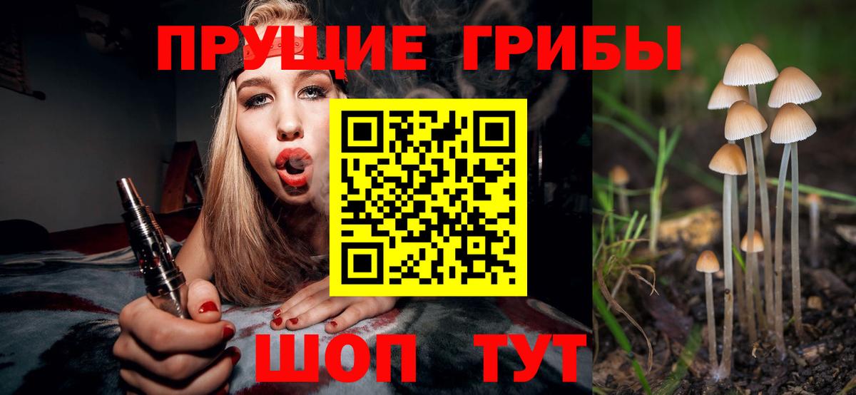 Псилоцибиновые грибы MAGIC MUSHROOMS Азнакаево