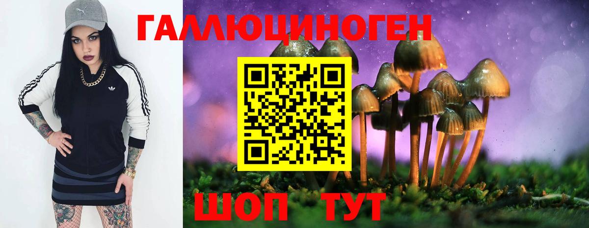 Псилоцибиновые грибы Magic Shrooms Азнакаево