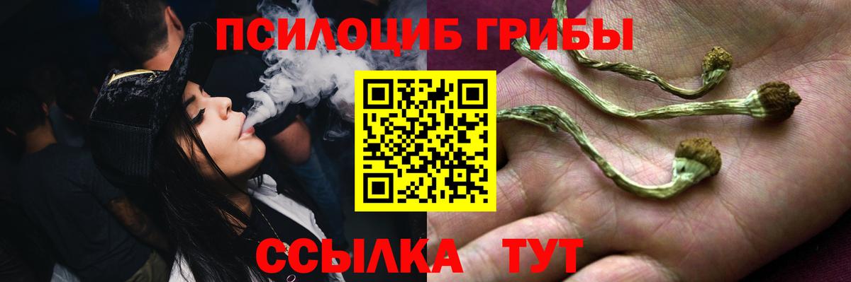 Галлюциногенные грибы MAGIC MUSHROOMS  Азнакаево  Псилоцибиновые грибы GOLDEN TEACHER 